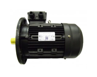 Burner motor - 6